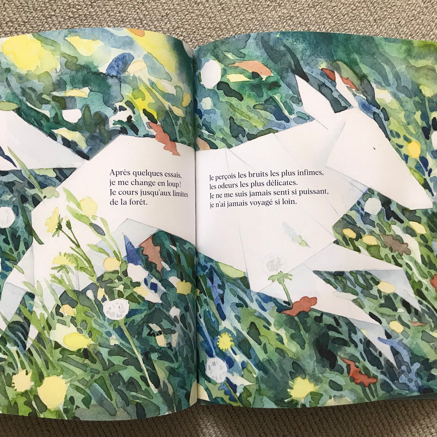 Le garçon de papier - N. D’égard & Kerascoët