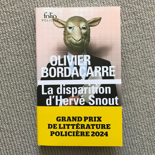 Bordaçarre, Olivier - La disparition d’Hervé Snout