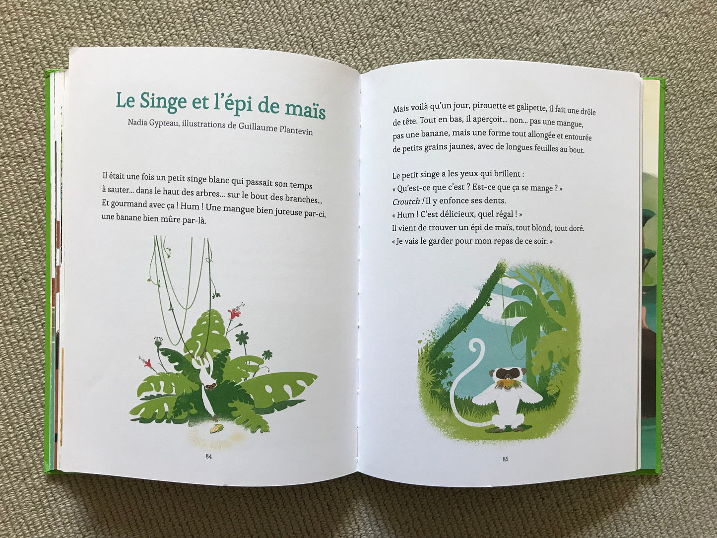 Petites histoires du Père Castor dans la nature