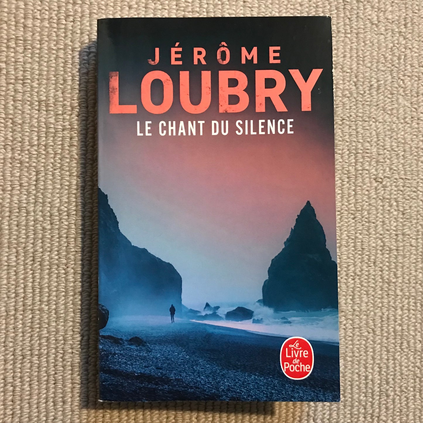 Loubry, Jérôme - Le chant du silence