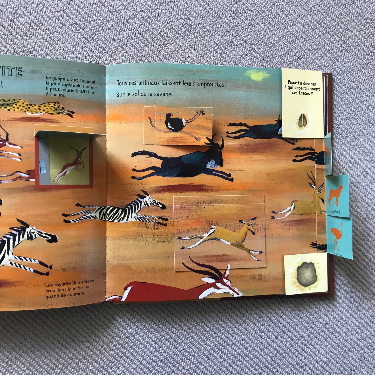 Kididoc - Les animaux de la savane