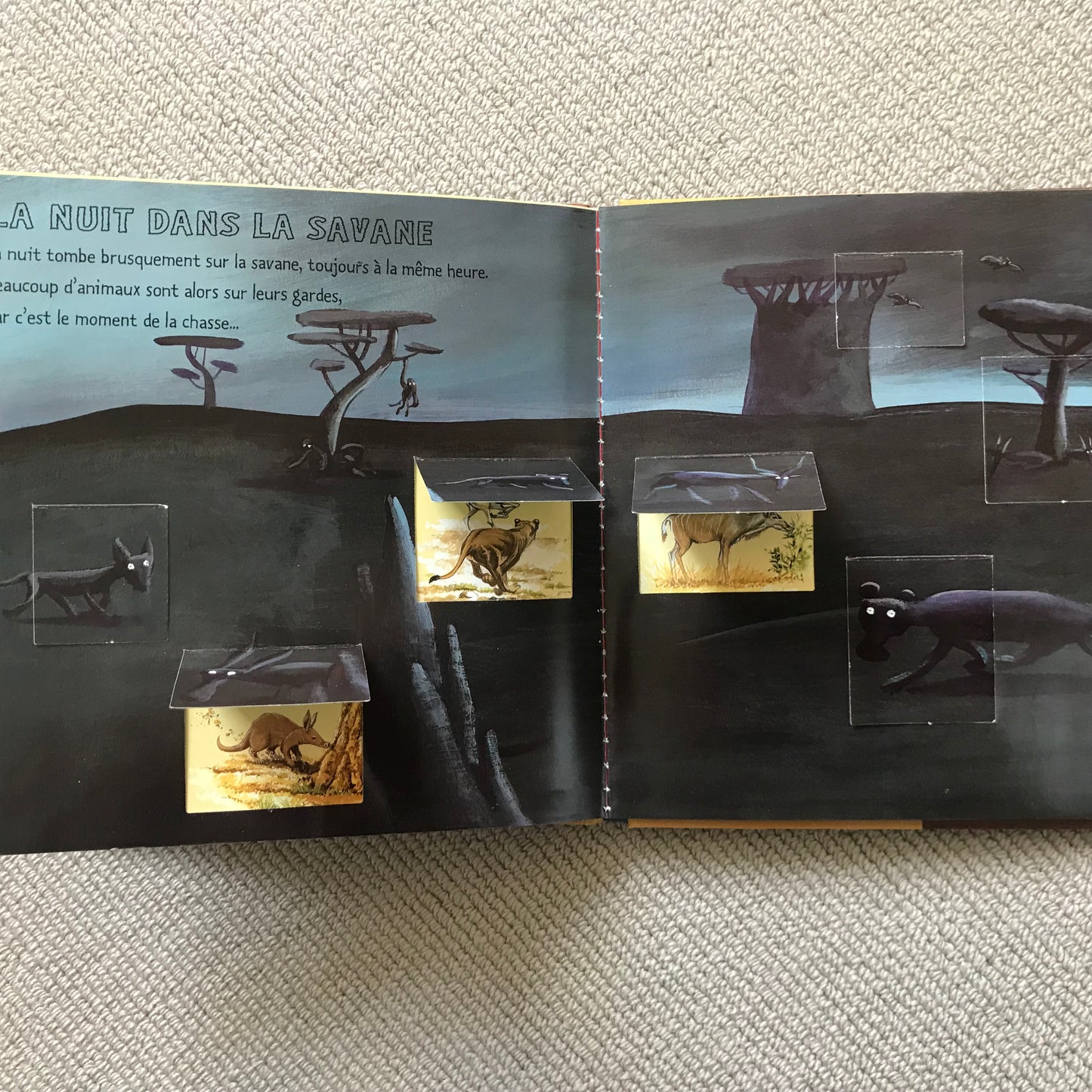 Kididoc - Les animaux de la savane