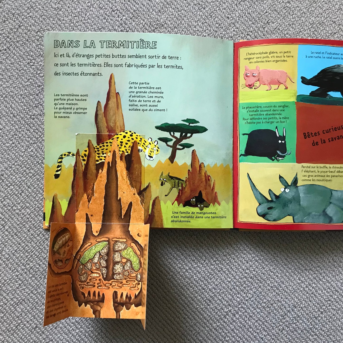 Kididoc - Les animaux de la savane