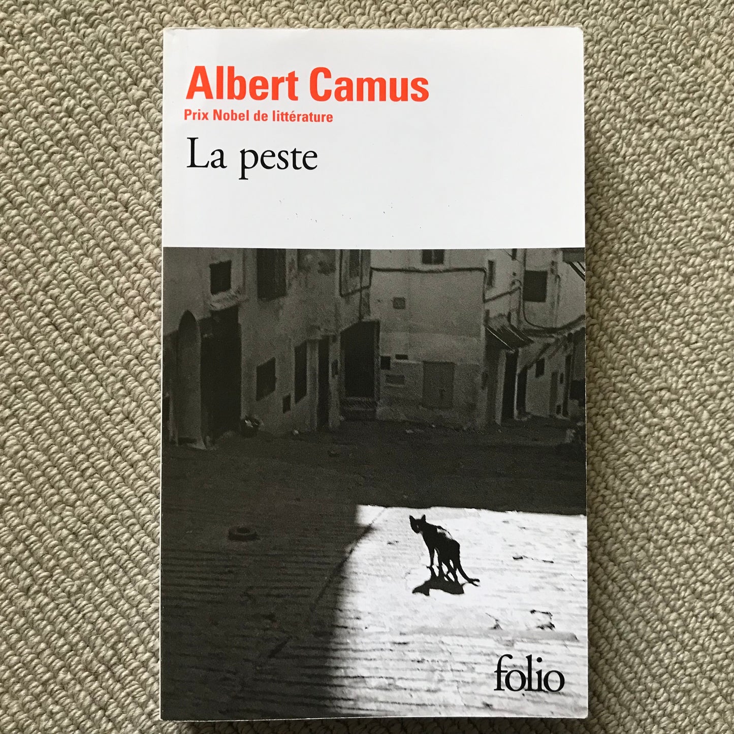 Camus, Albert - La peste