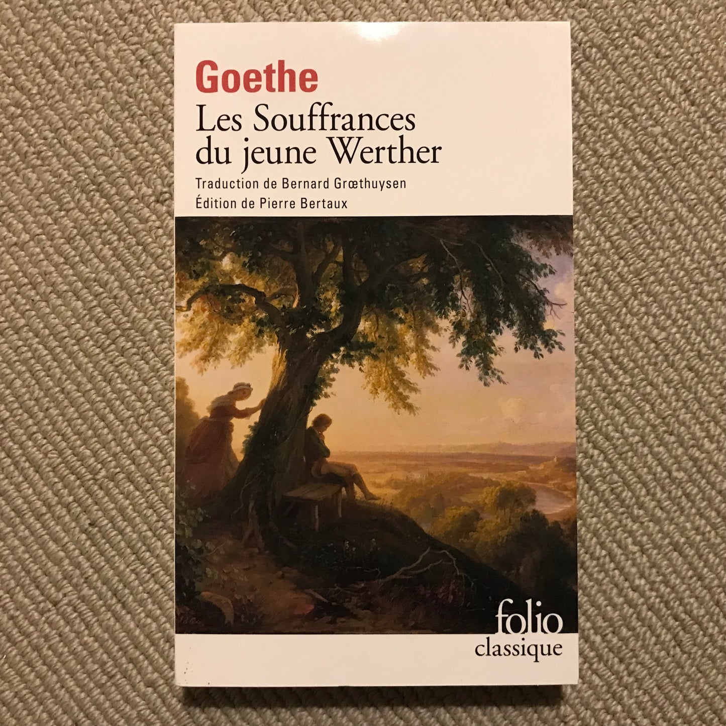 Goethe - Les souffrances du jeune Werther