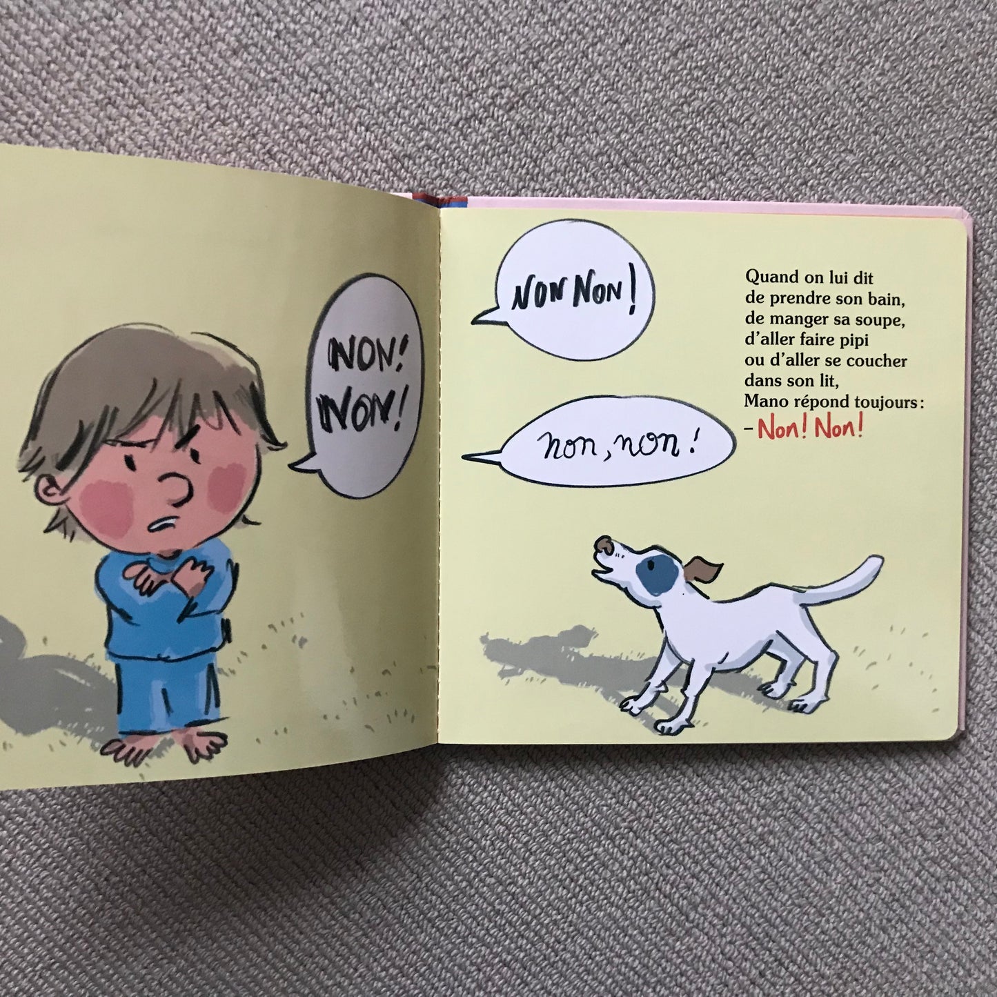 Non! - J.-C. Sarrazin