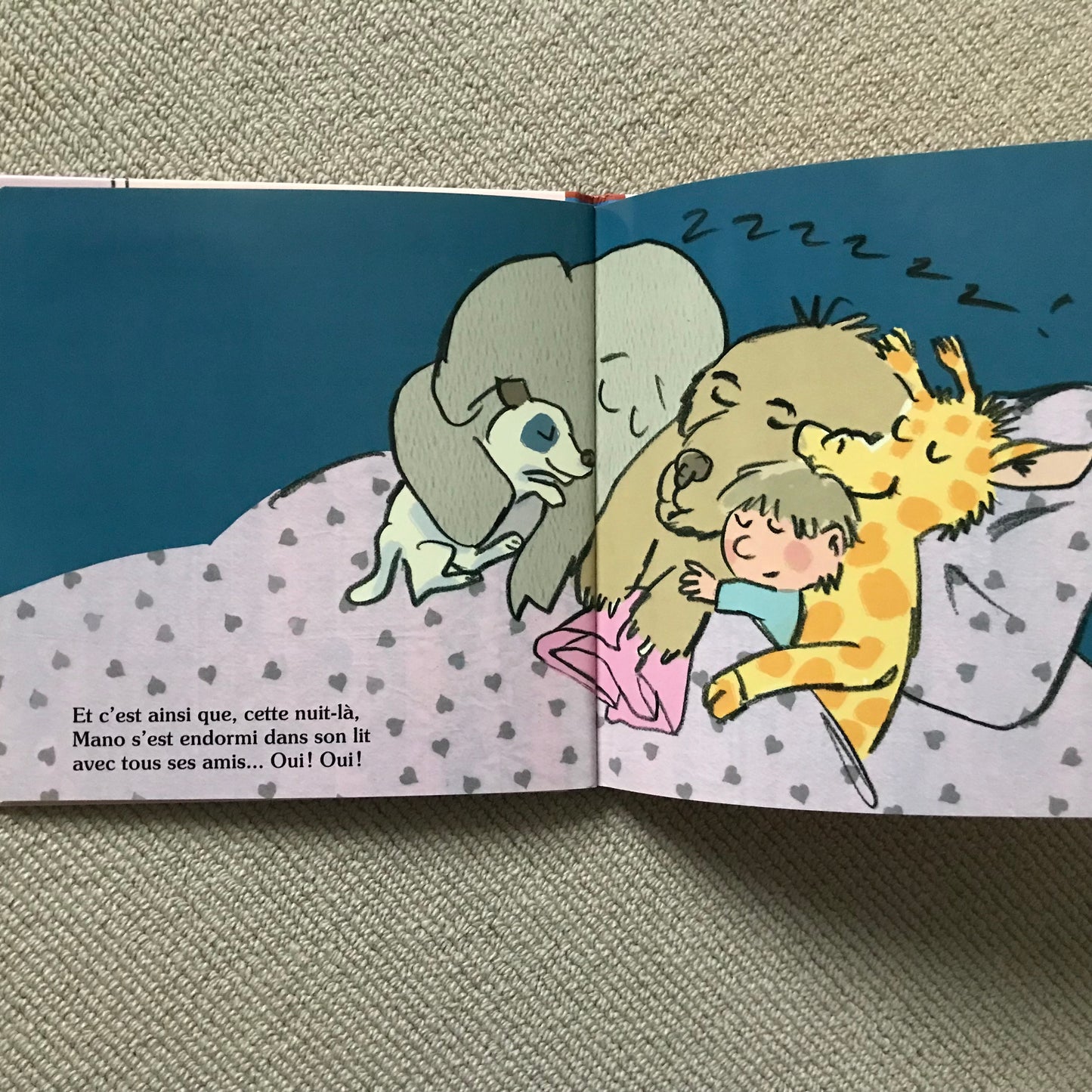 Non! - J.-C. Sarrazin