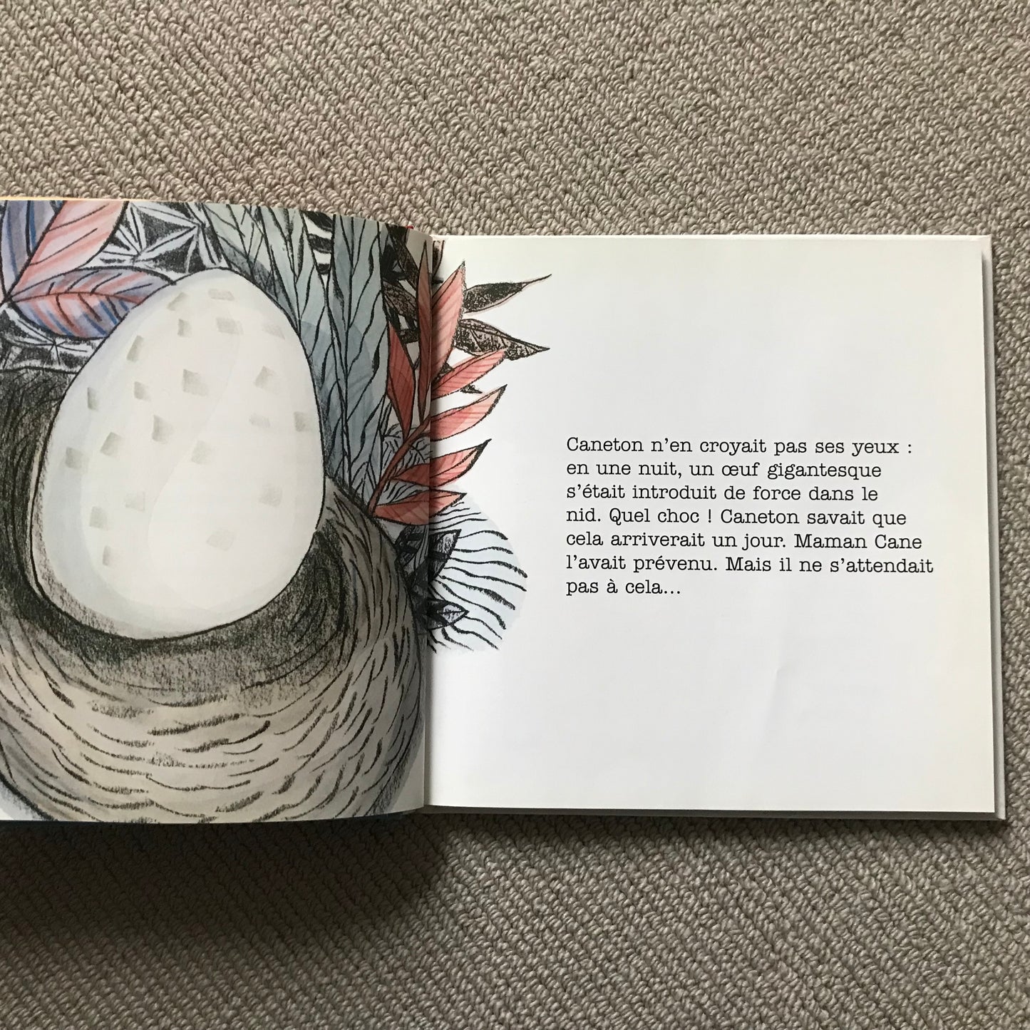 Caneton veut garder sa maman pour lui - S. Sarzaud & T. Romanin