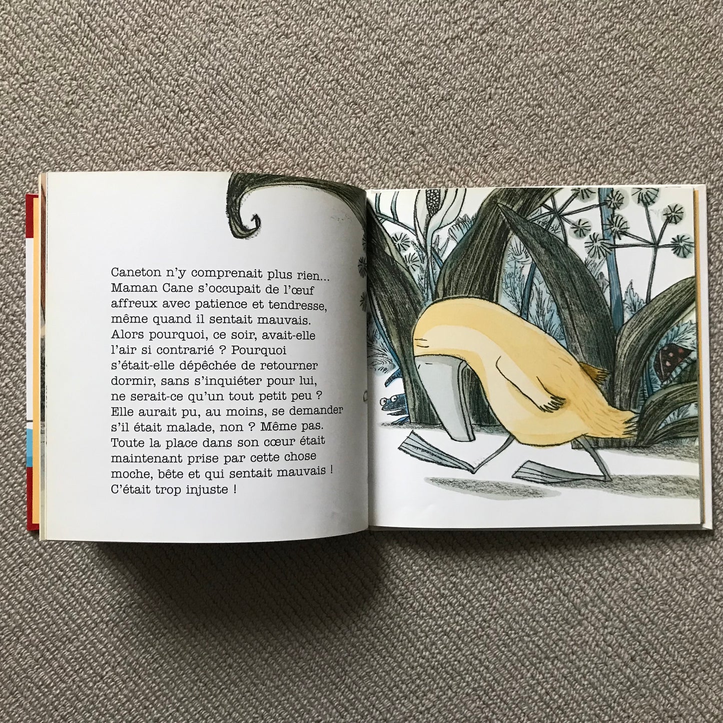 Caneton veut garder sa maman pour lui - S. Sarzaud & T. Romanin