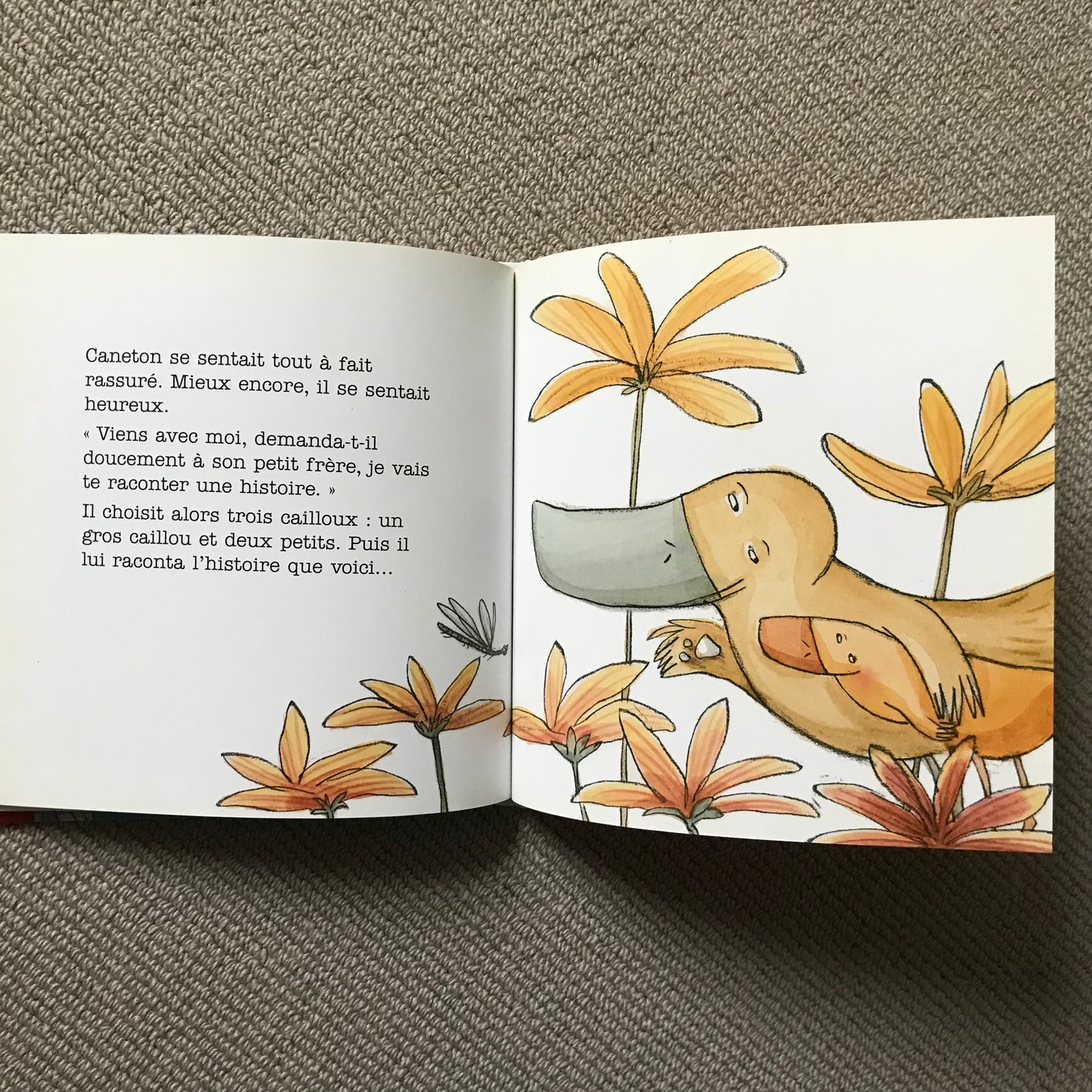 Caneton veut garder sa maman pour lui - S. Sarzaud & T. Romanin