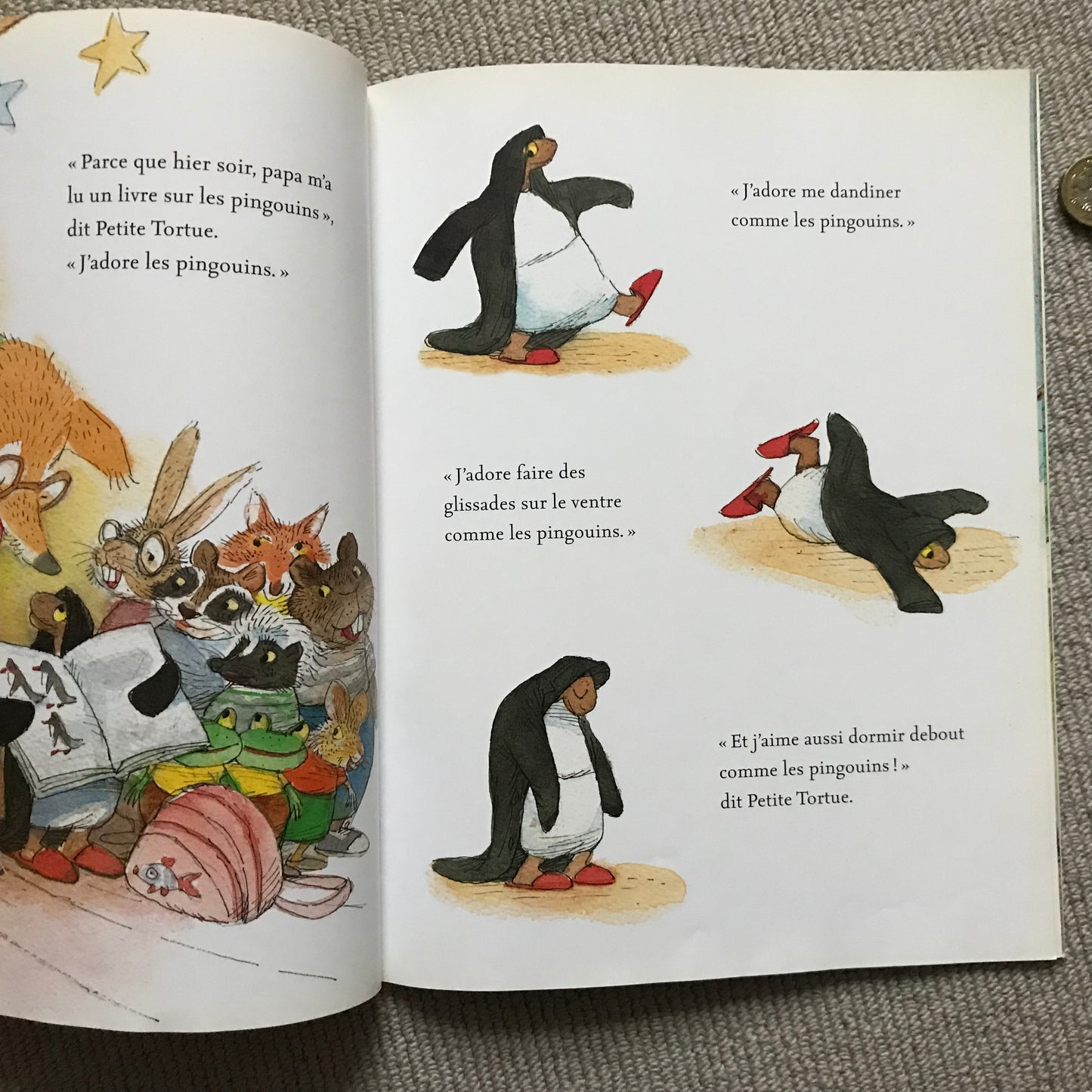 Tortue Pingouin - V. Gorbachev