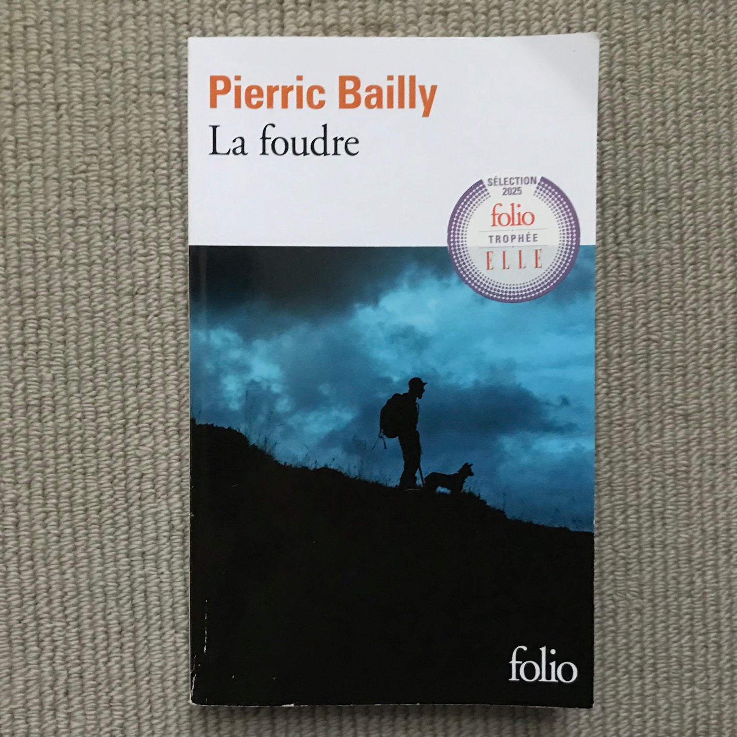Bailly, Pierric - La foudre