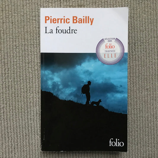 Bailly, Pierric - La foudre