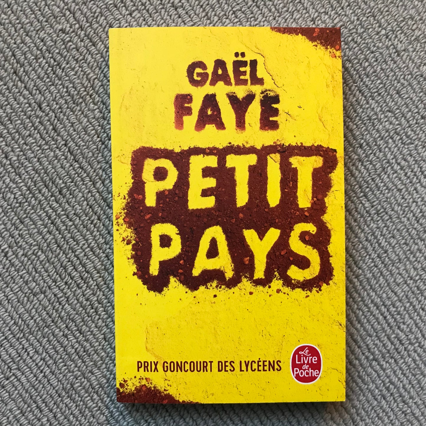 Faye, Gaël - Petit pays