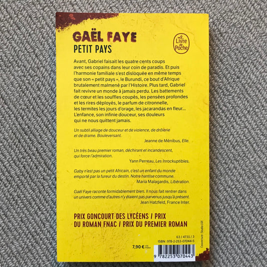 Faye, Gaël - Petit pays