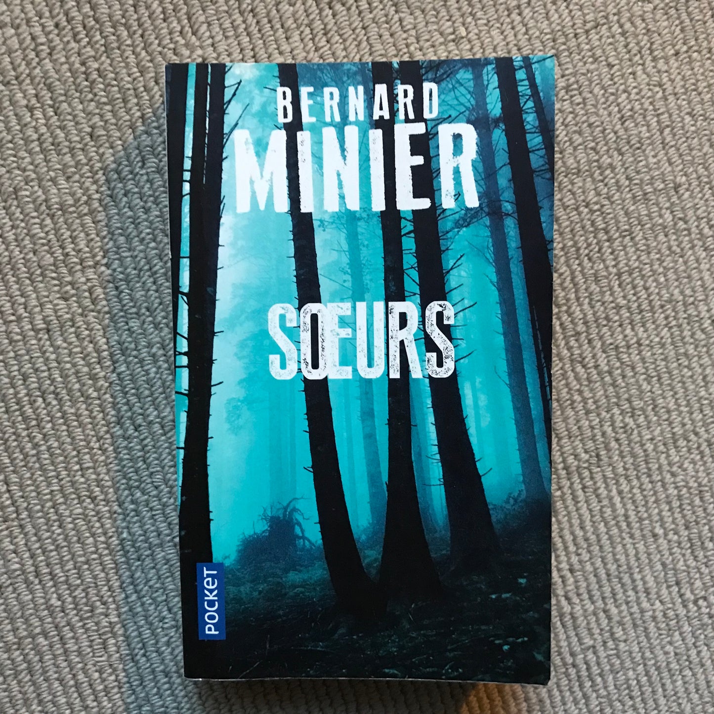 Minier, Bernard - Sœurs