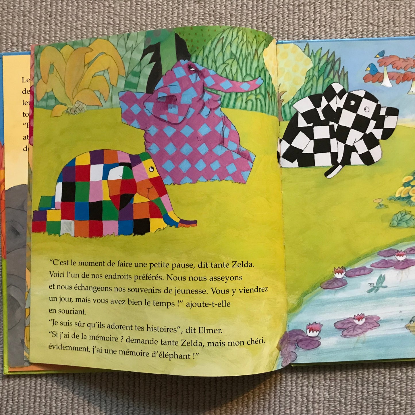 Elmer et tante Zelda - D. McKee