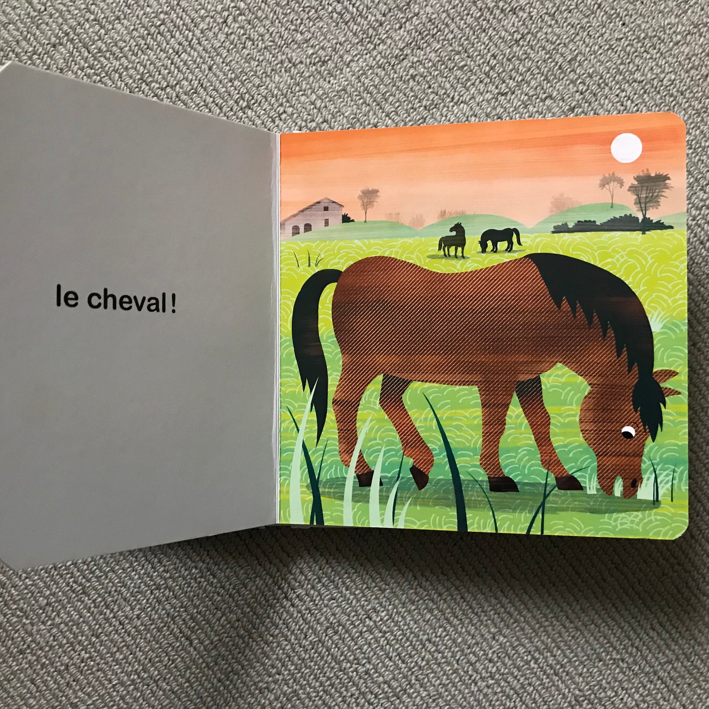 A qui sont ces pattes ? - D. Gamba & S. Colombo