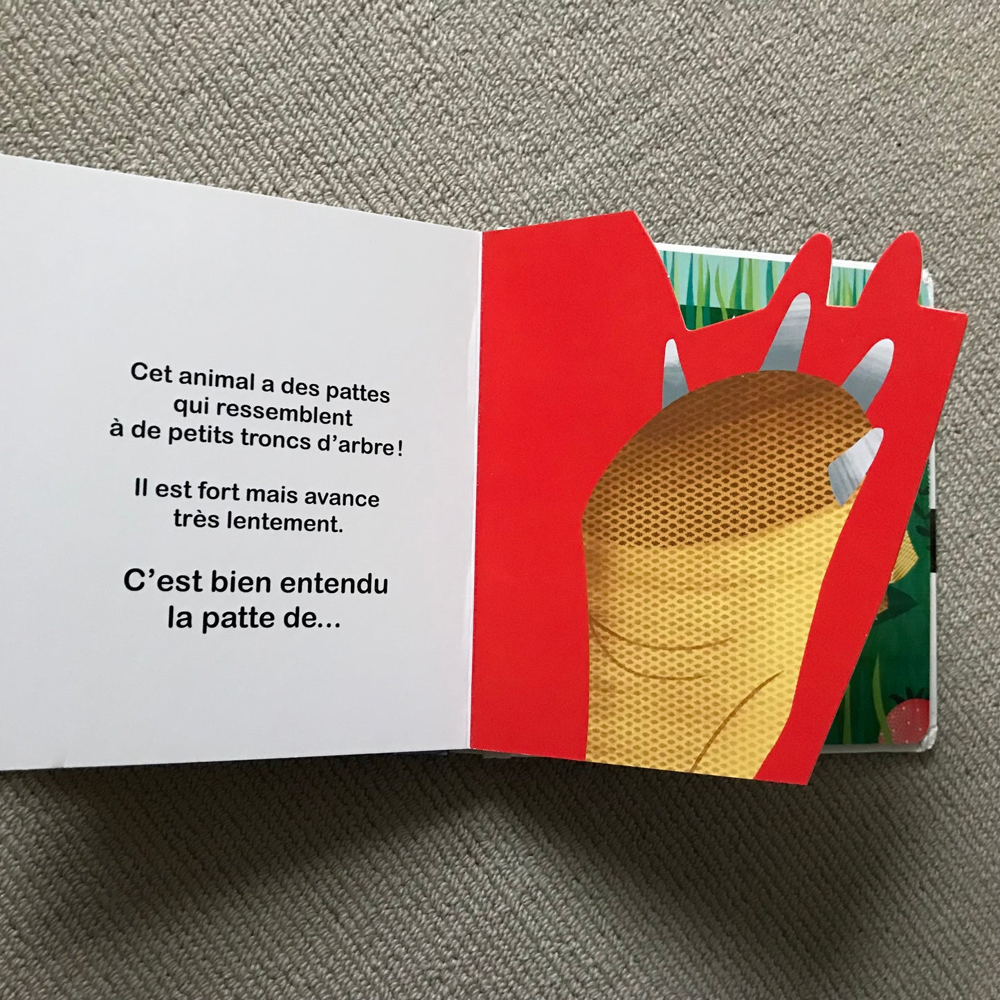 A qui sont ces pattes ? - D. Gamba & S. Colombo