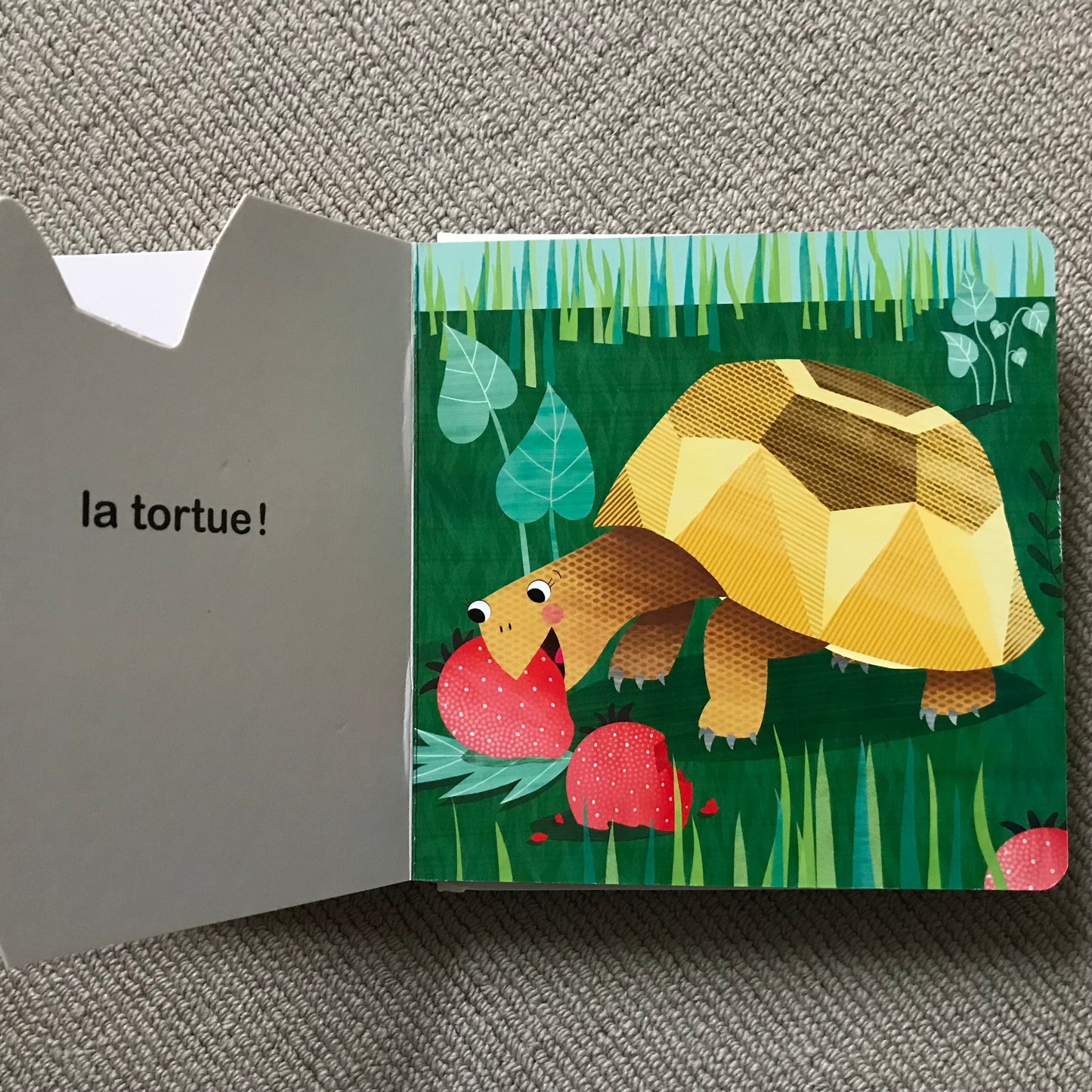 A qui sont ces pattes ? - D. Gamba & S. Colombo