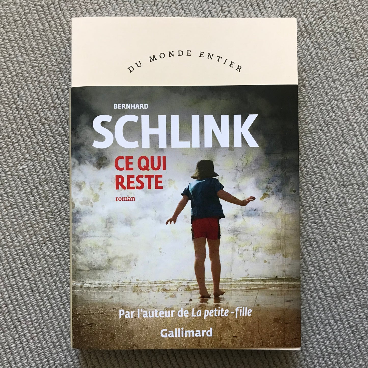 Schlink, Bernhard - Ce qui reste