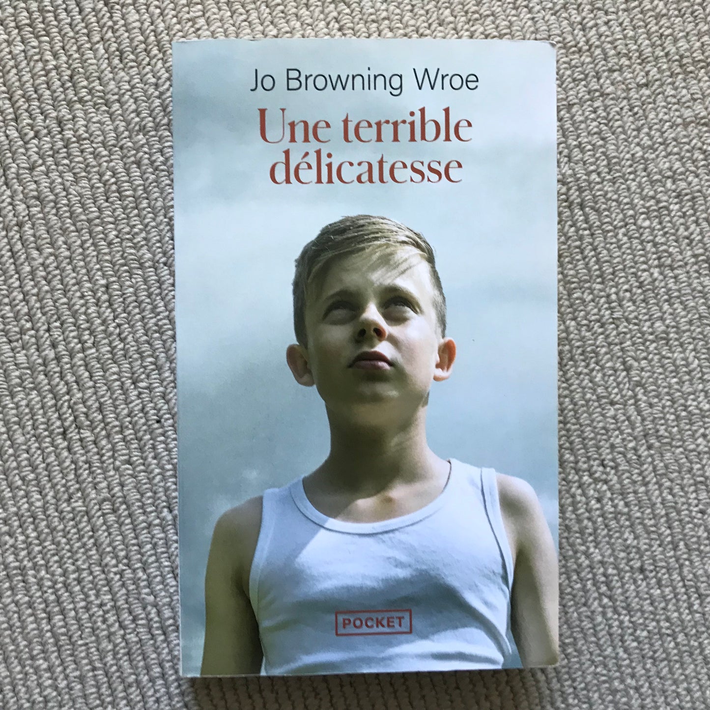 Browning Wroe, Jo - Une terrible délicatesse