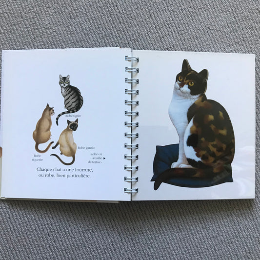 Le chat, mes premières découvertes Gallimard