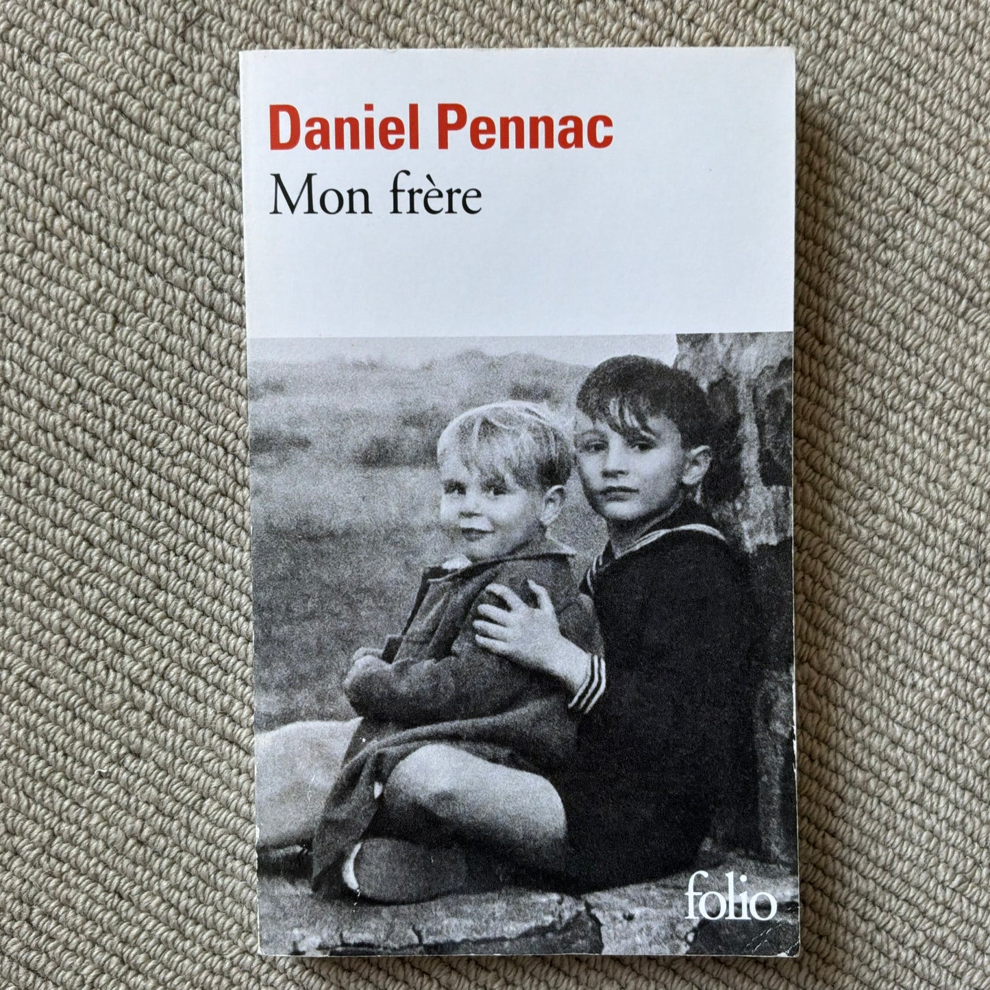 Pennac, Daniel - Mon frère