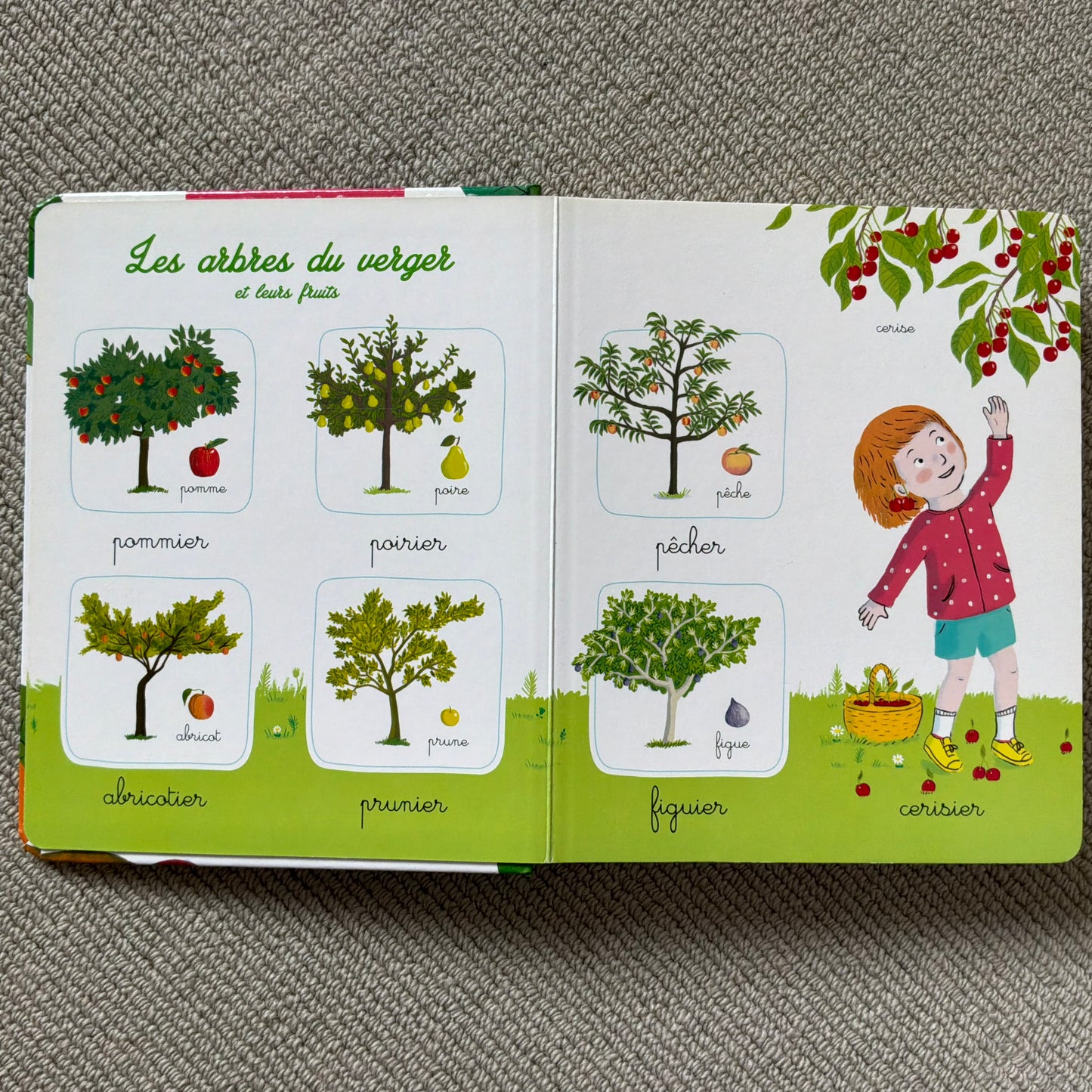 L’imagier Montessori de la nature