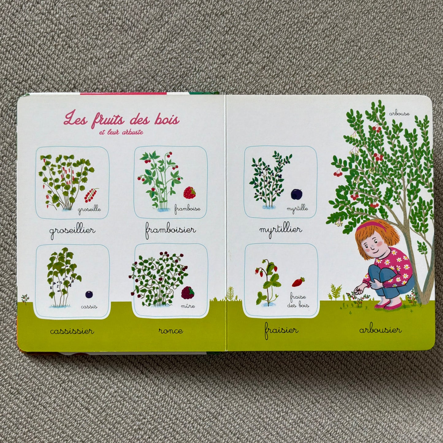 L’imagier Montessori de la nature