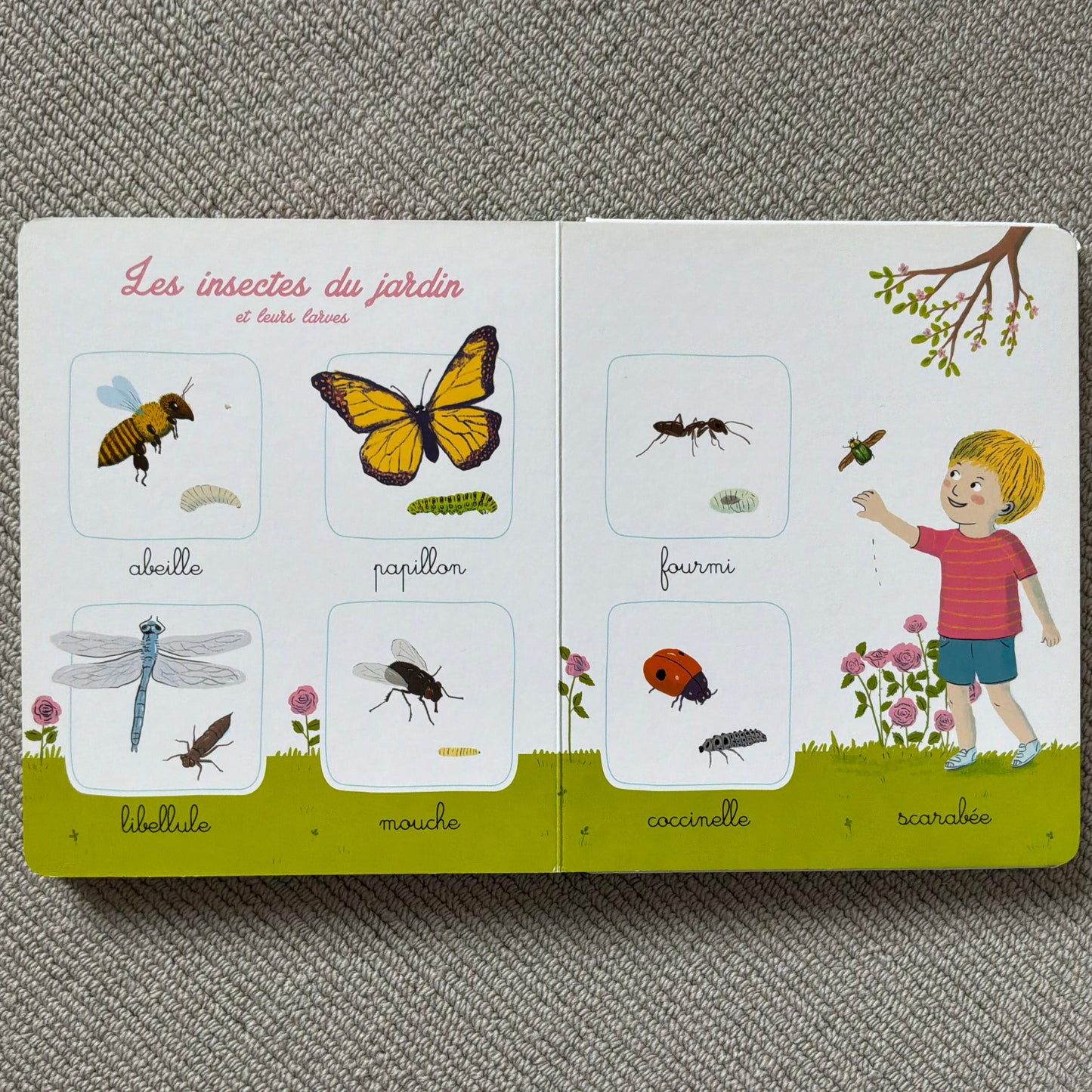 L’imagier Montessori de la nature