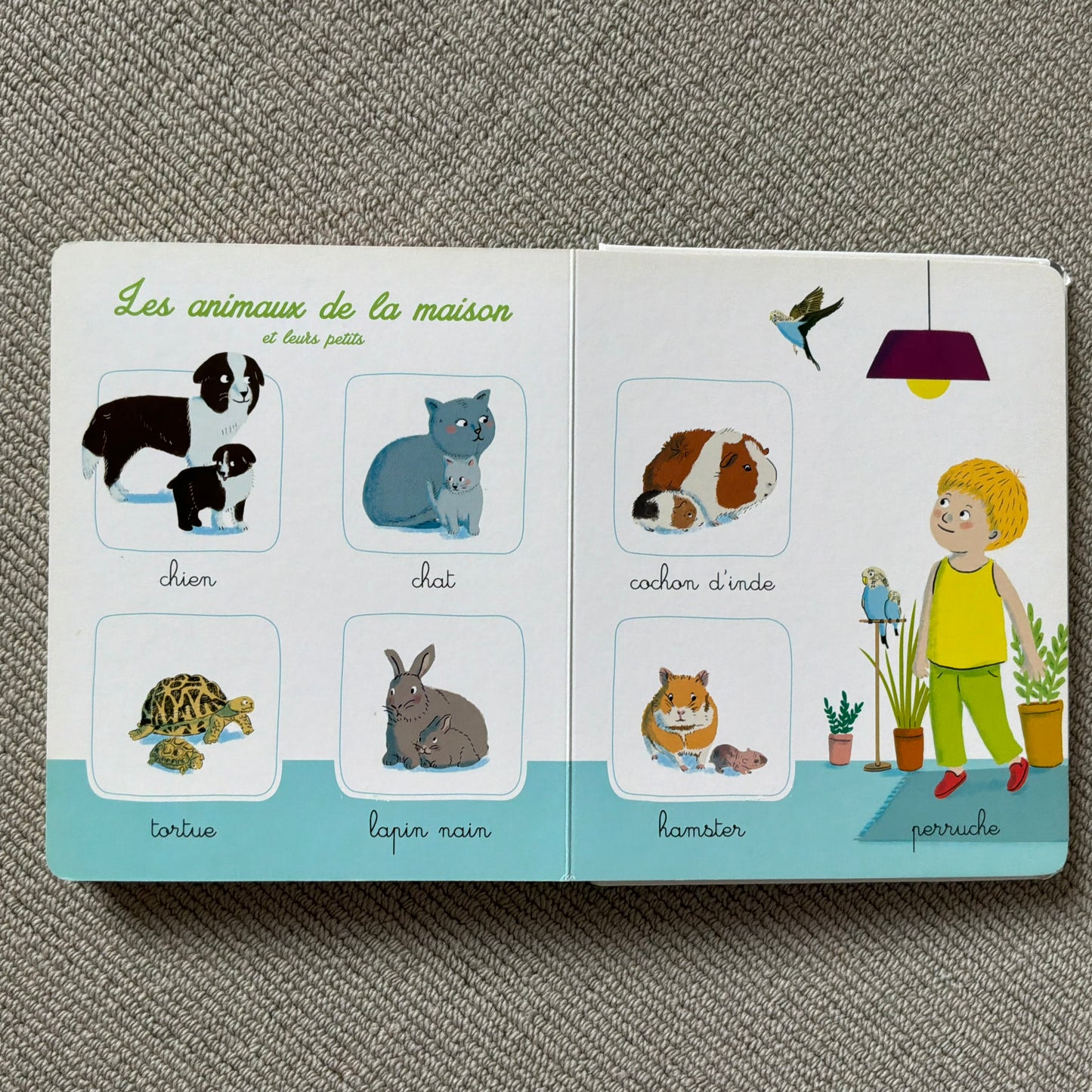 L’imagier Montessori de la nature