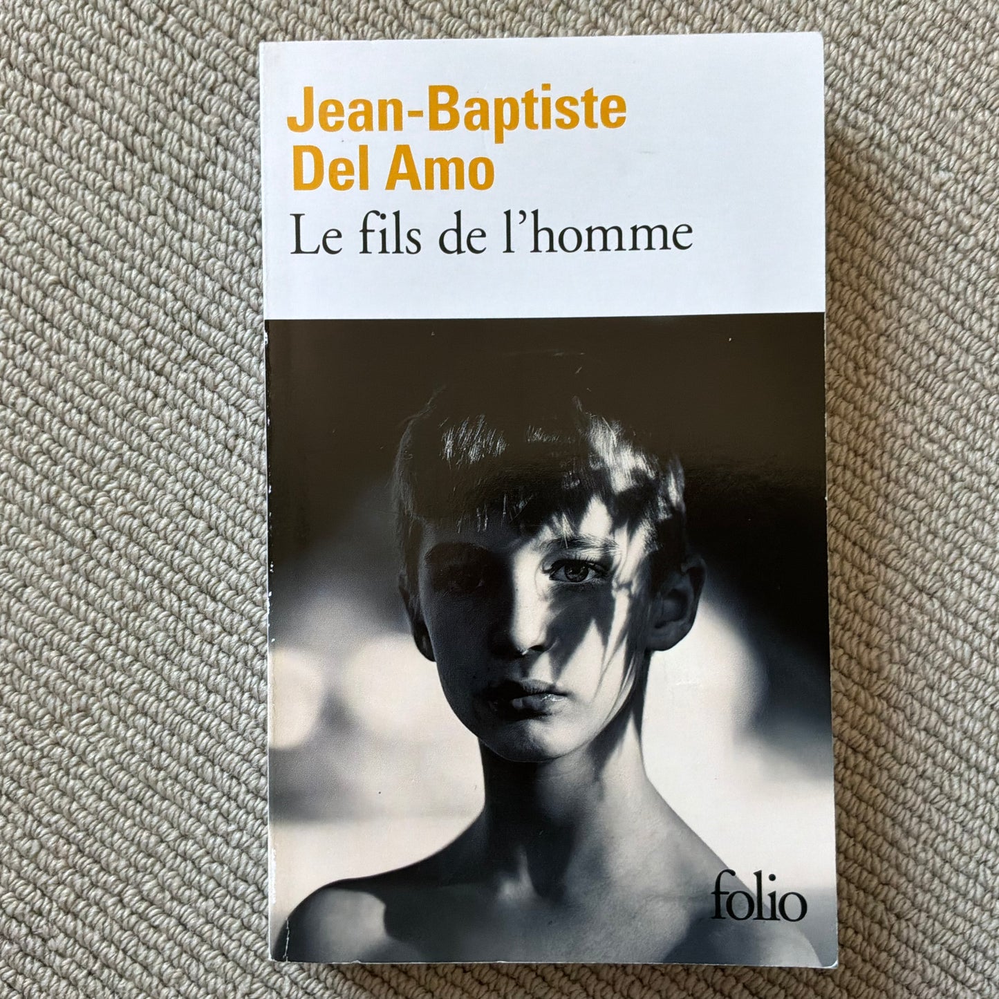 Del Amo, Jean-Baptiste - Le fils de l’homme