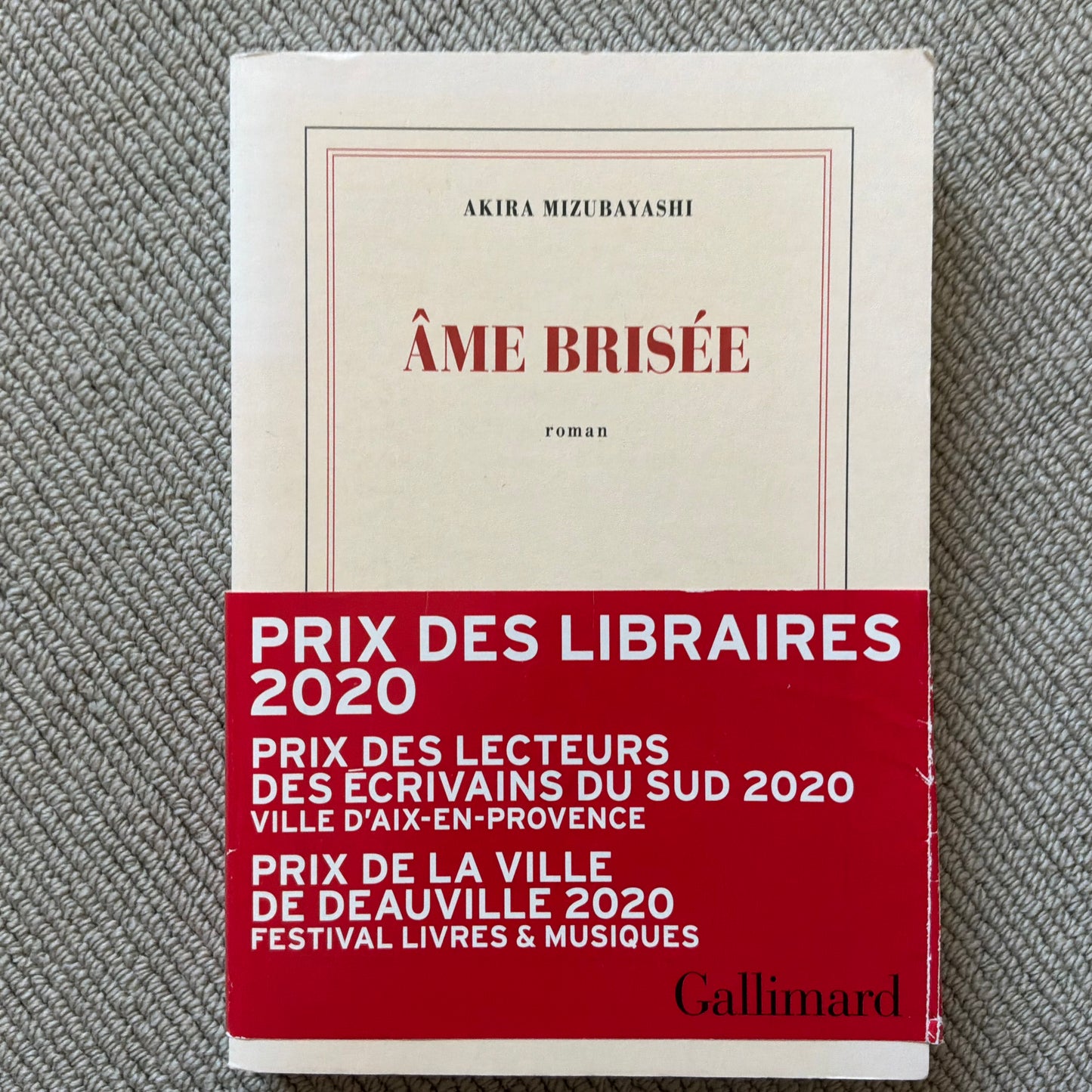 Mizubayashi, Akira - Âme brisée