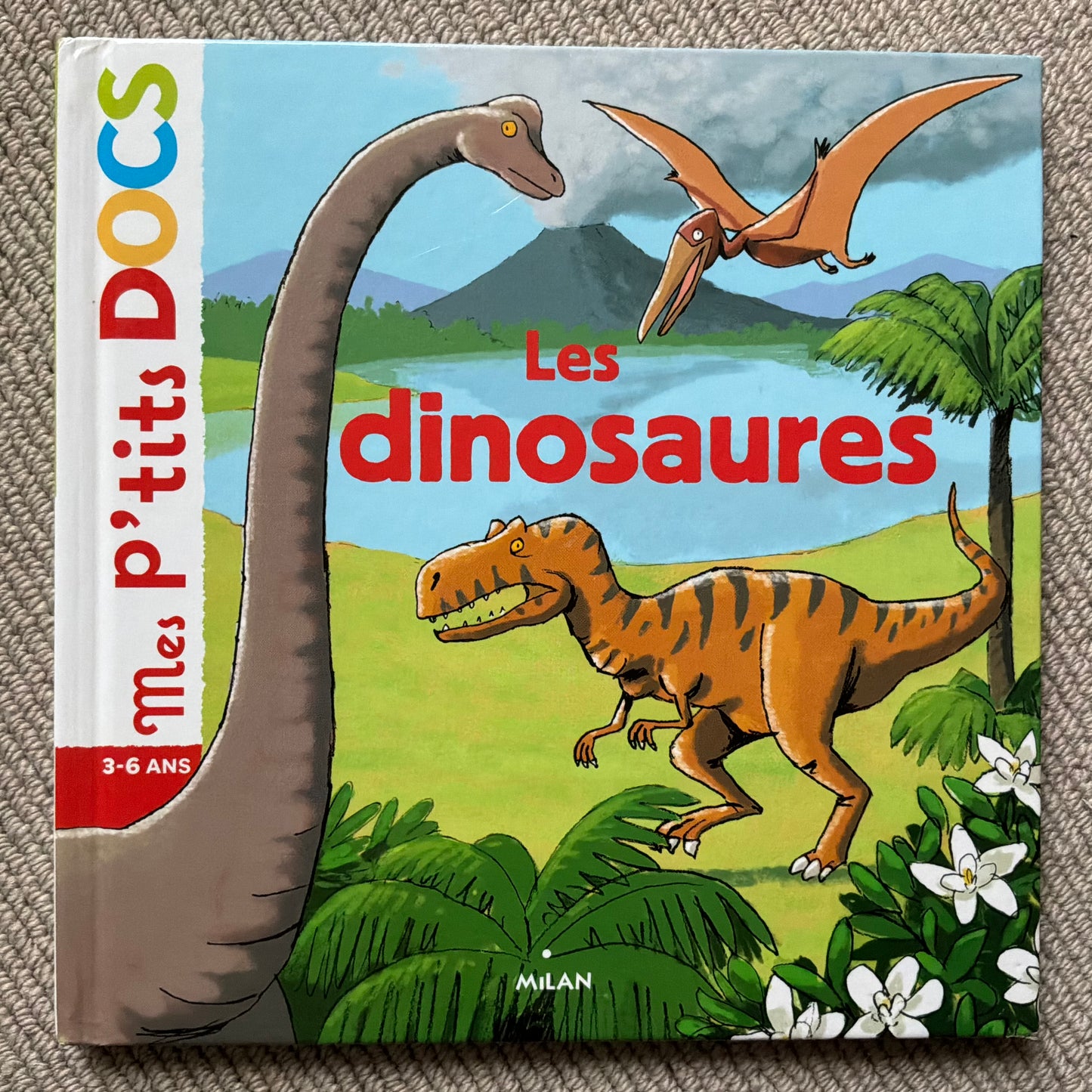 Mes p’tits docs: Les dinosaures