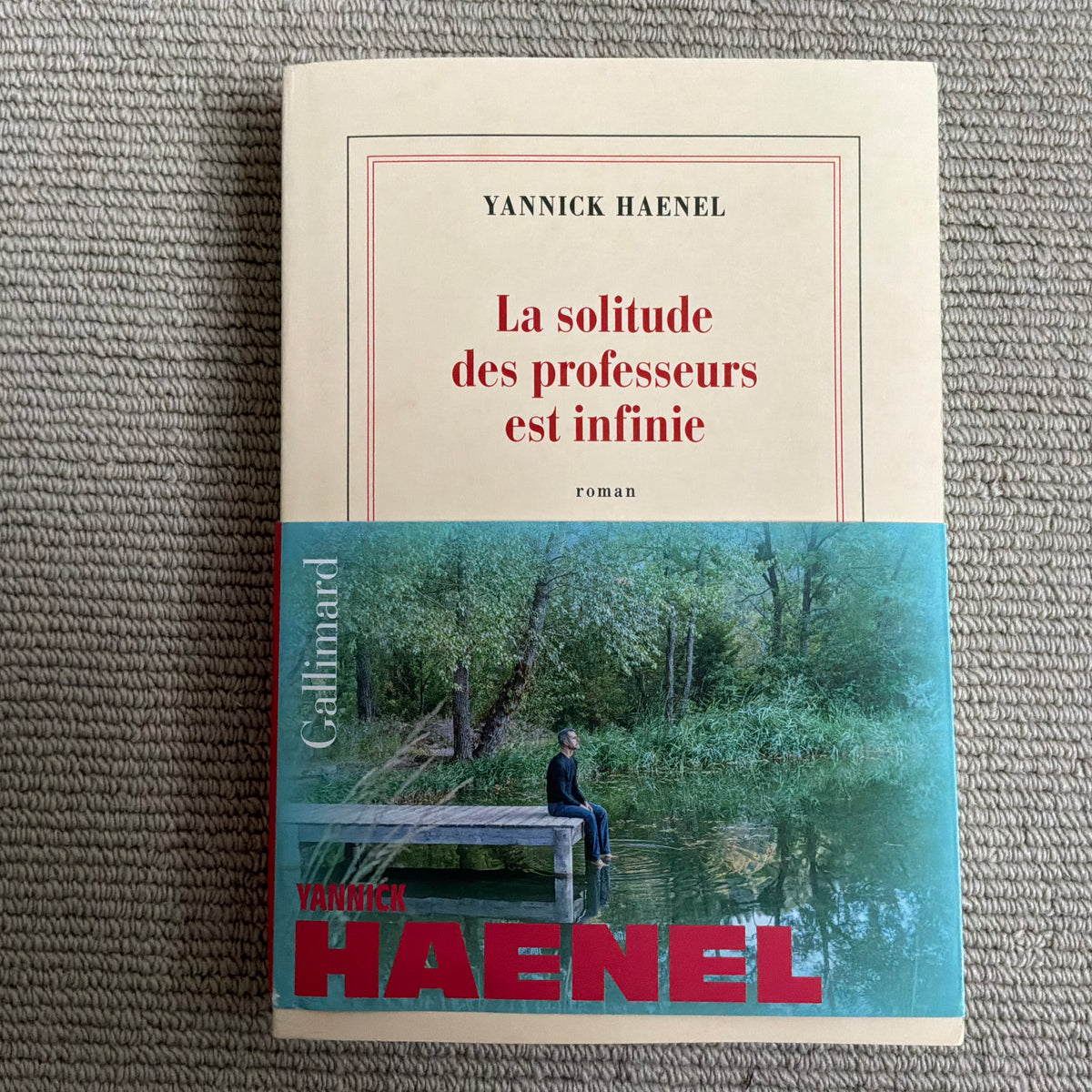Haenel, Yannick - La solitude des professeurs est infinie
