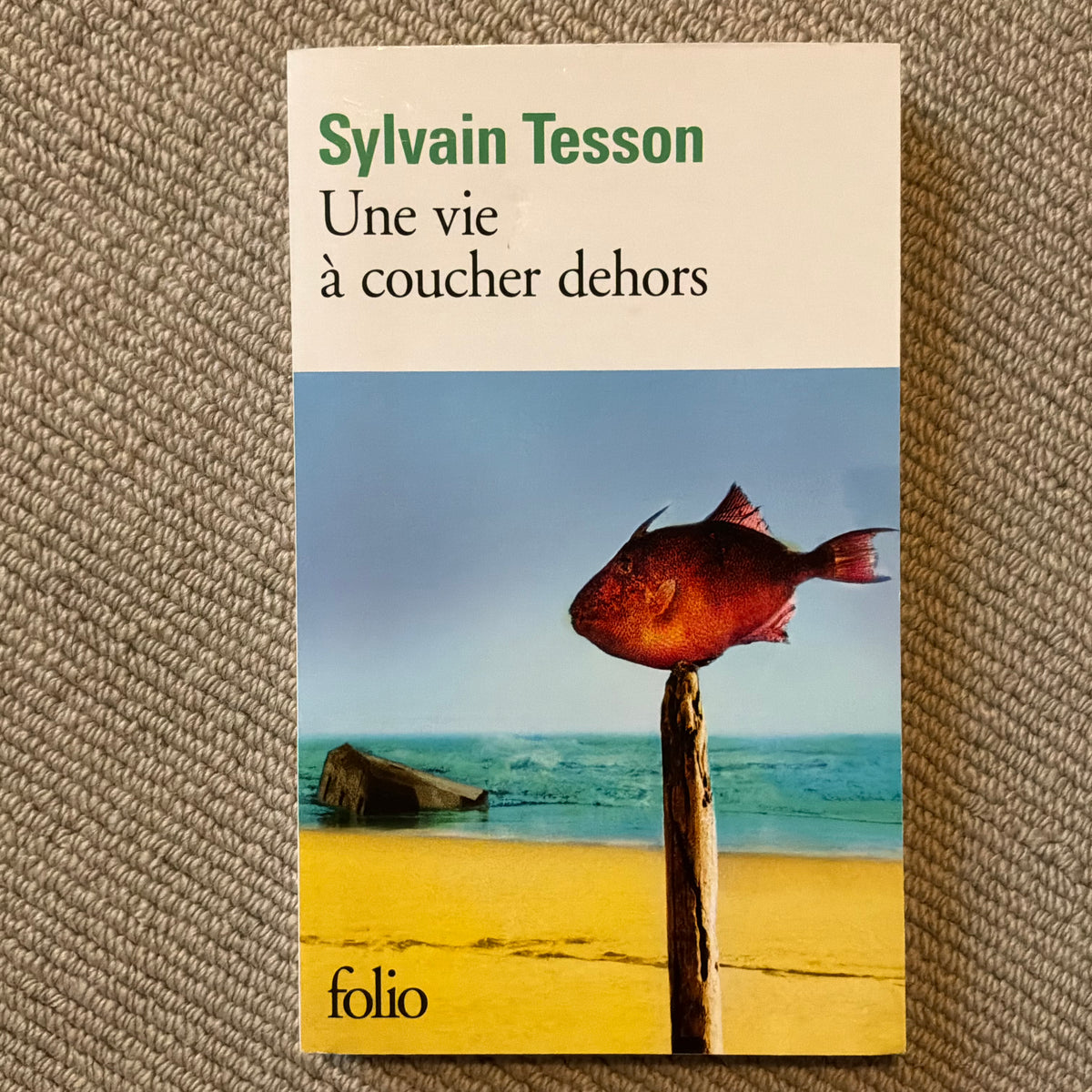 Tesson, Sylvain - Une vie à coucher dehors