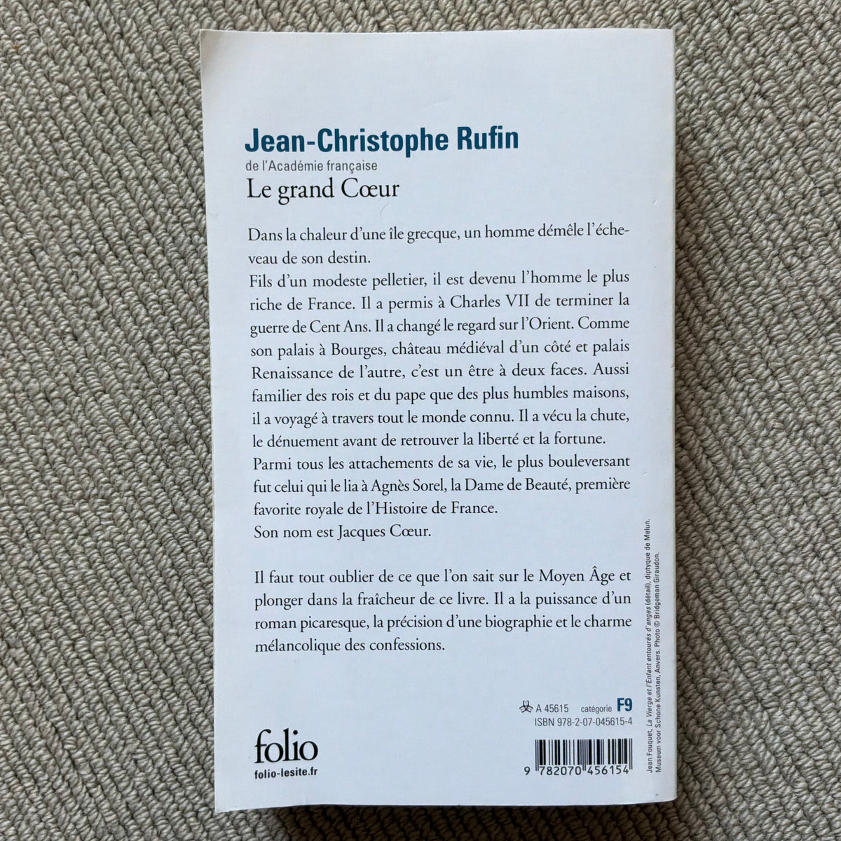 Rufin, Jean-Christophe - Le grand Cœur