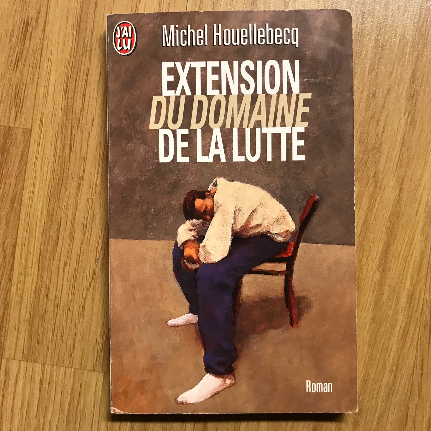 Houellebecq, Michel - Extension du domaine de la lutte