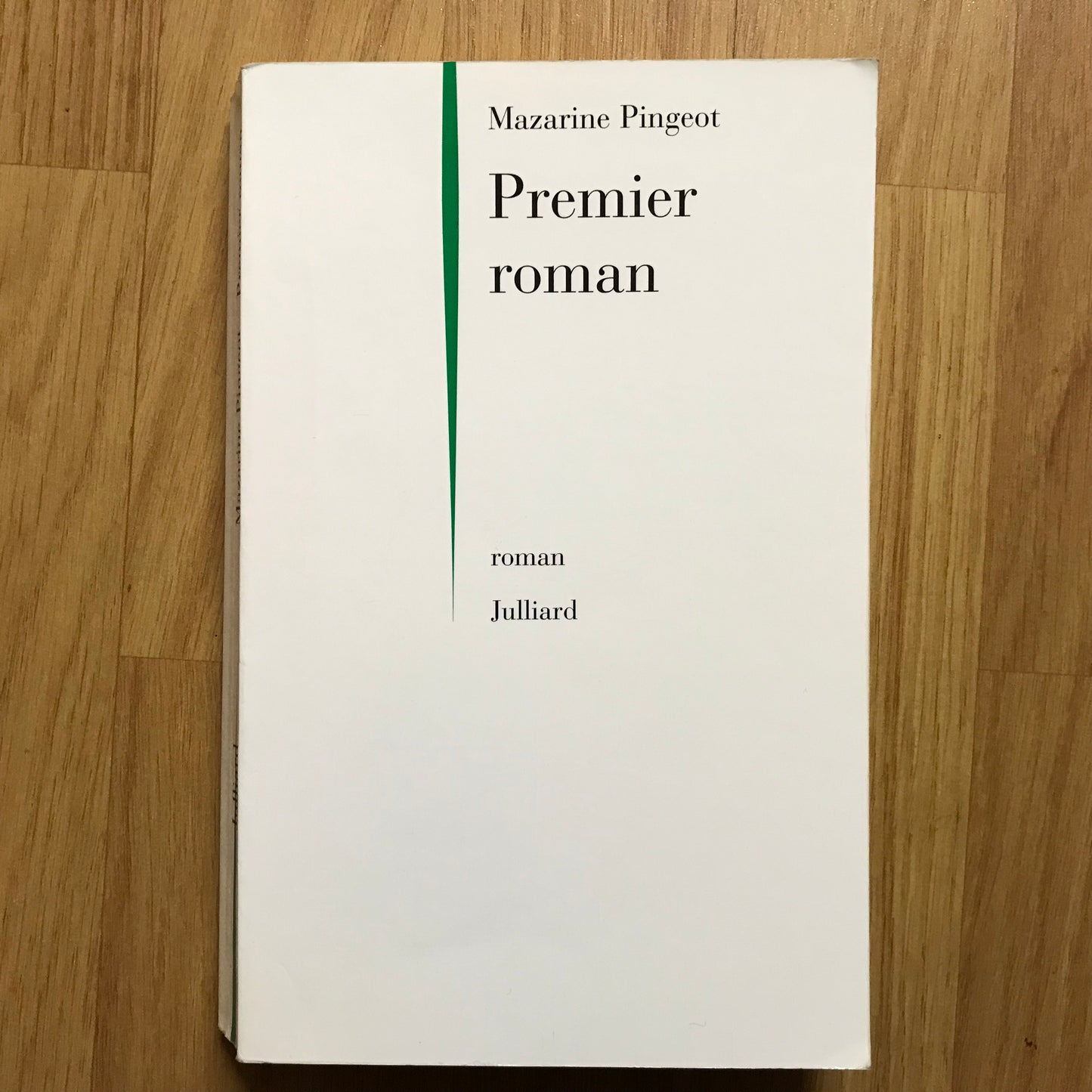 Pingeot, Mazarine - Premier roman