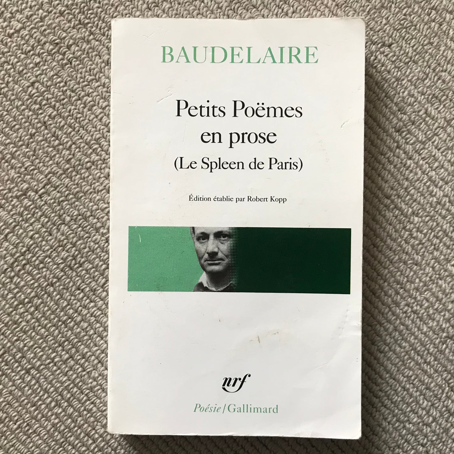 Baudelaire - Petits poëmes en prose (Le Spleen de Paris)