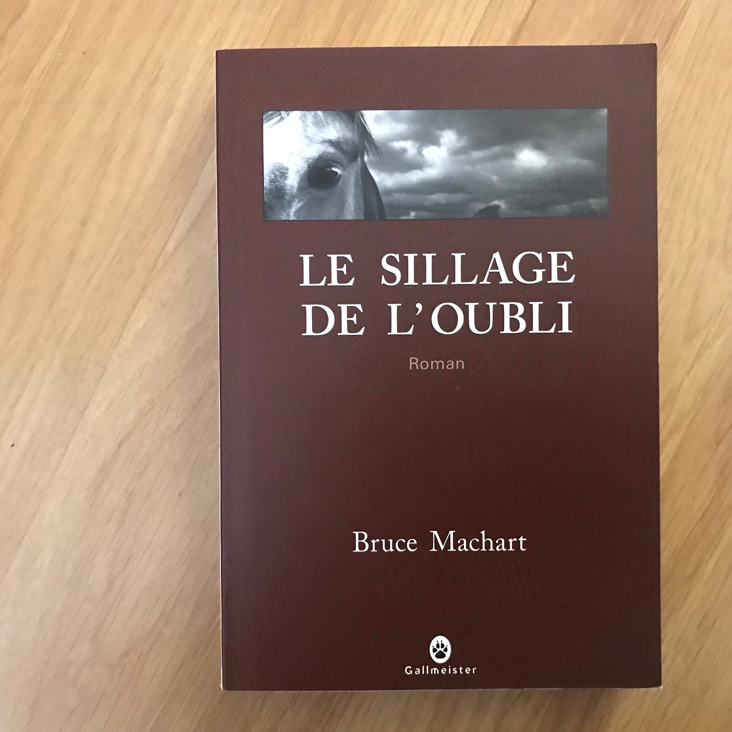 Machart, Bruce - Le sillage de l’oubli