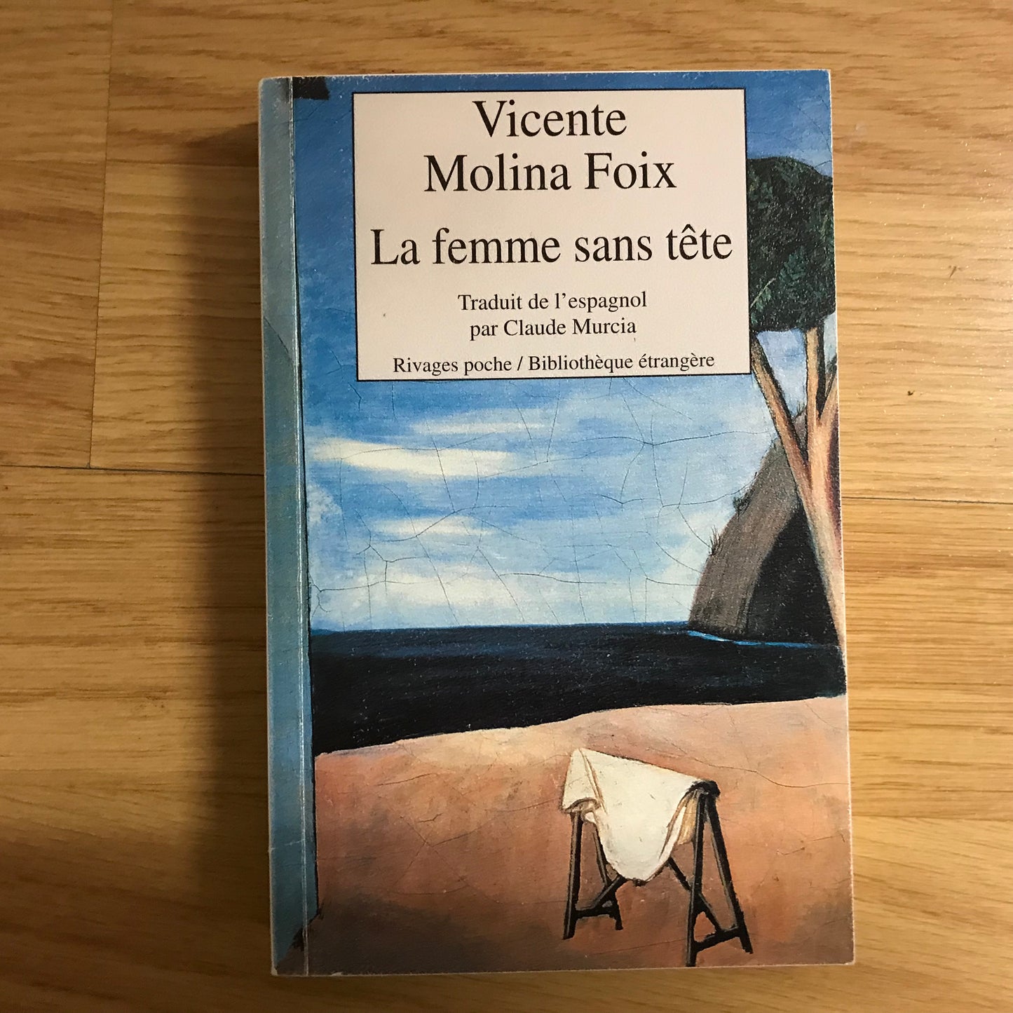 Molina Foix, Vicente - La femme sant tête