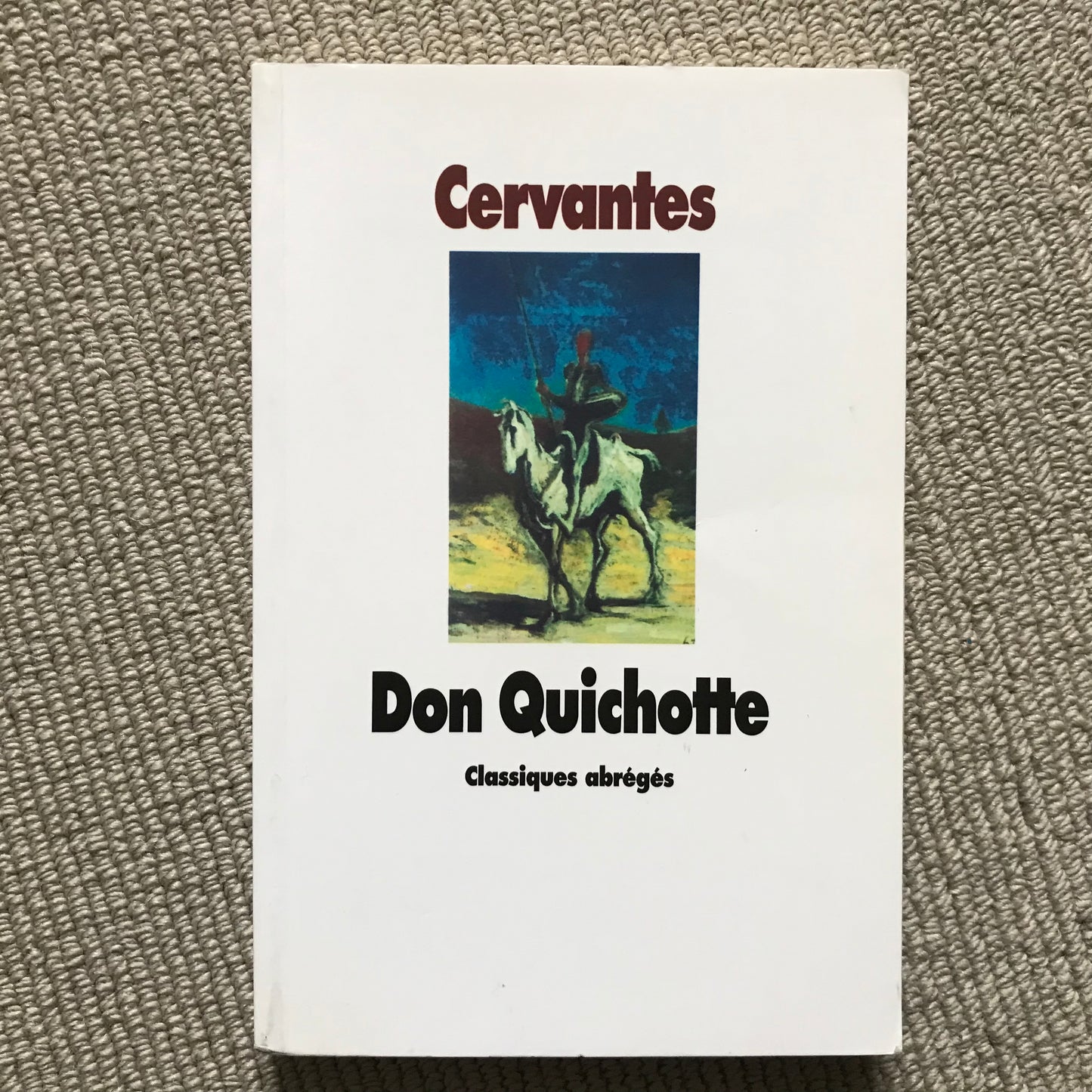 Cervantes - Don Quichotte (ABRÉGÉ)