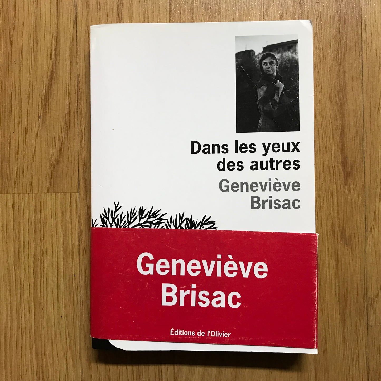 Brisac, Geneviève - Dans les yeux des autres