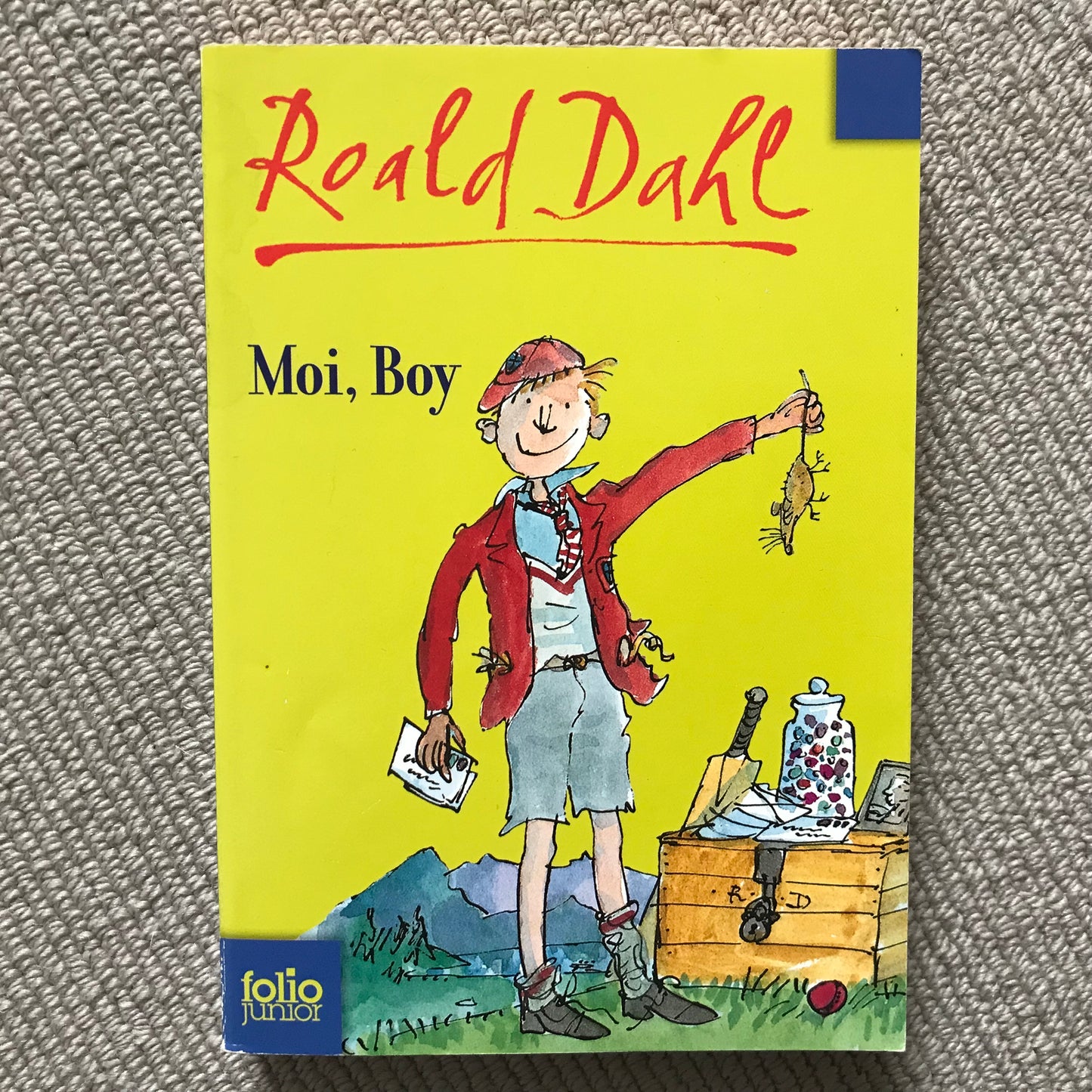 Dahl, Roald - Moi, Boy