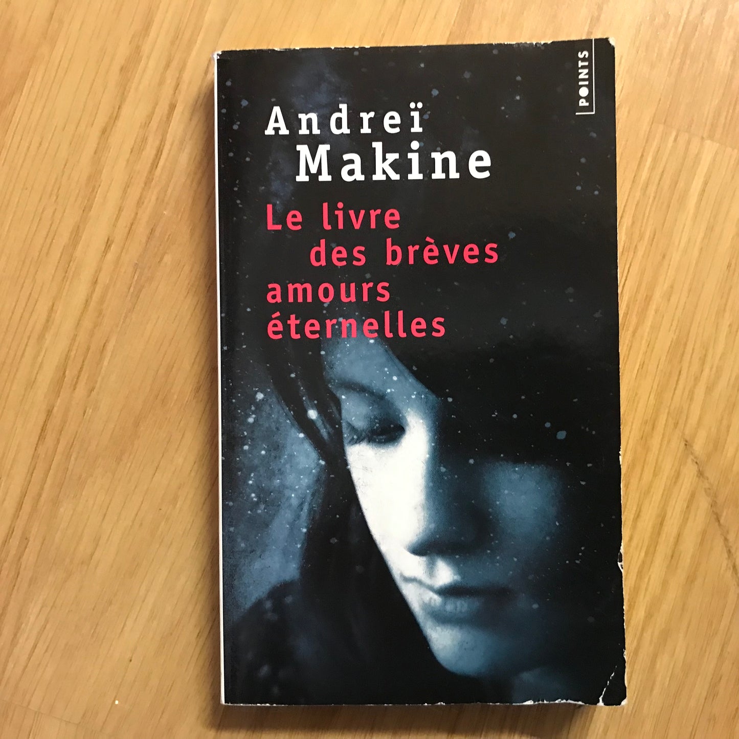 Makine, Andreï - Le livre des brèves amours éternelles