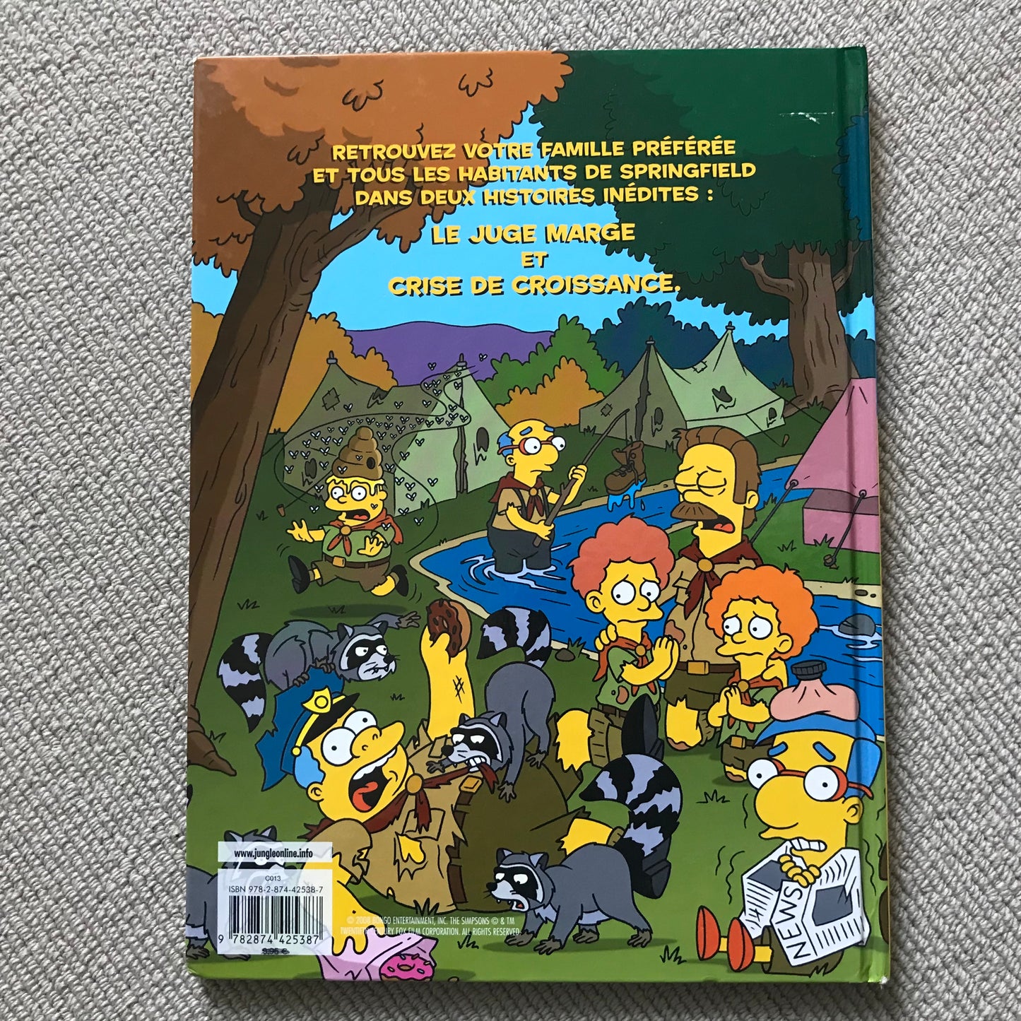 Les Simpson T1, Camping en délire - Matt Groening