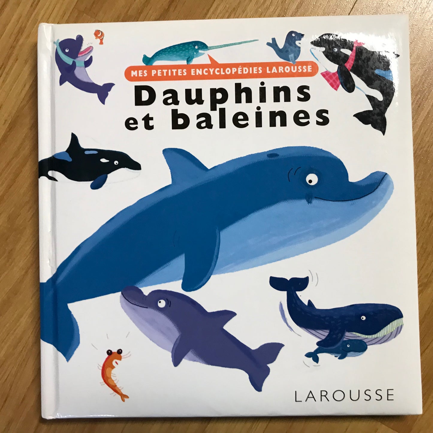 Mes petites encyclopédies Larousse : Dauphins et baleines