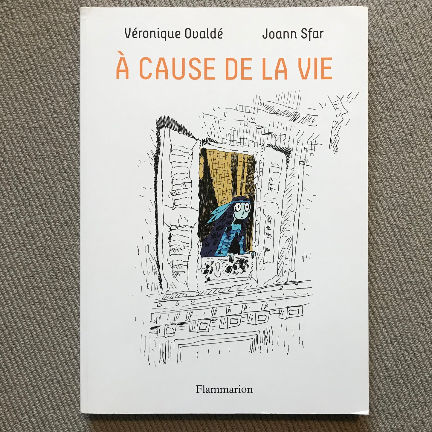 A cause de la vie - V. Ovaldé & J. Sfar